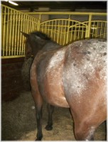 /album/sandra/a376839-308308889181810-100000081030147-1346859-1151658035-n-jpg/